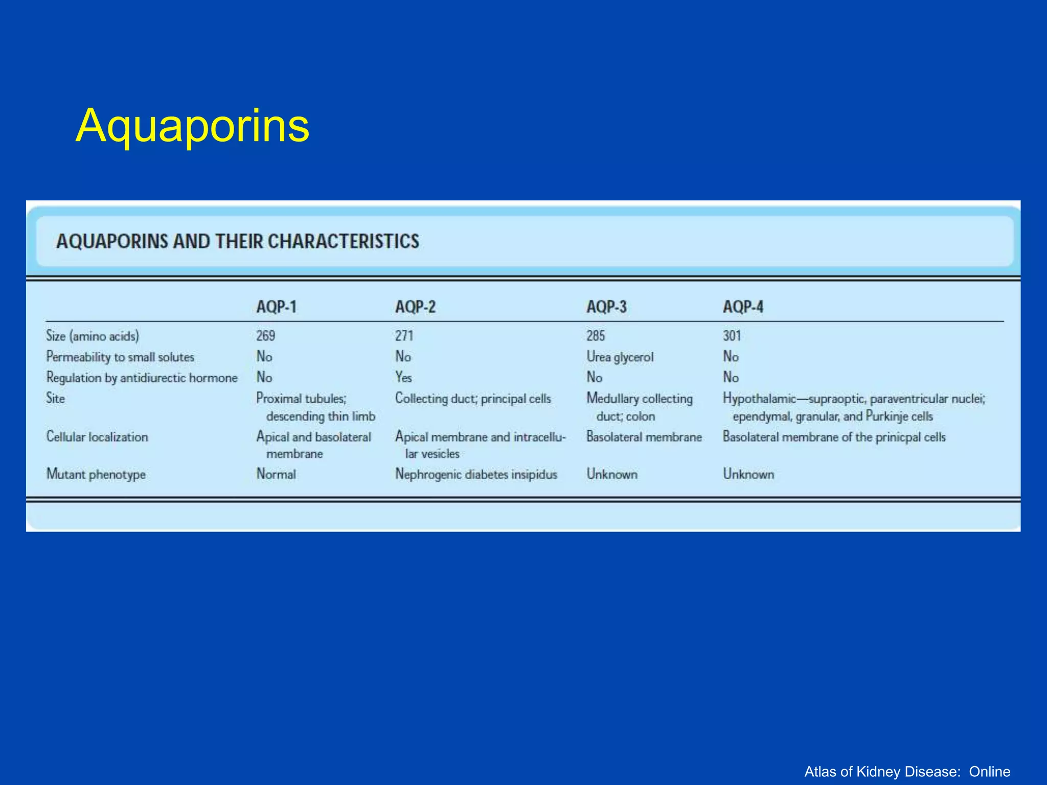 Aquaporins

Atlas of Kidney Disease: Online

 