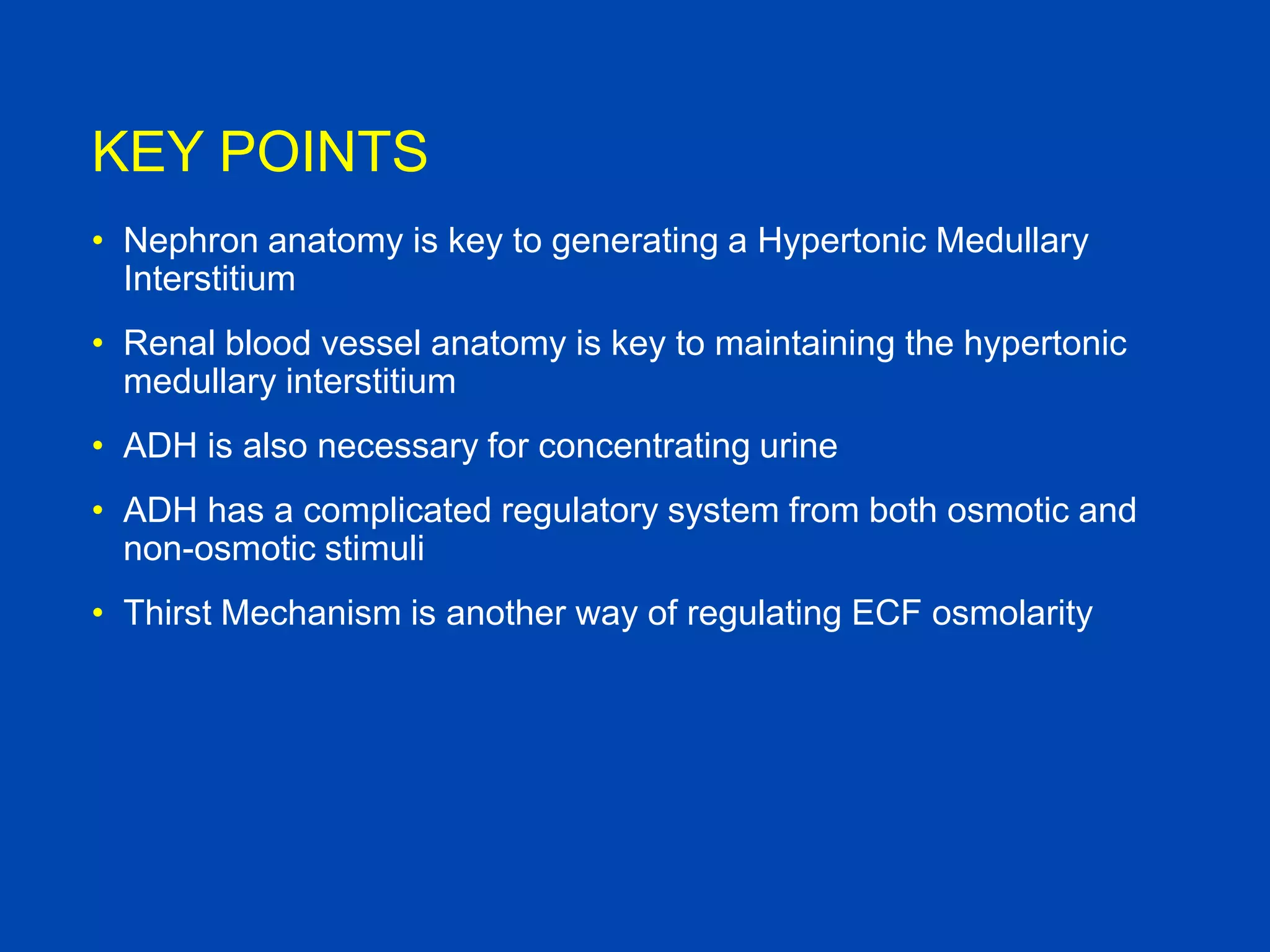 KEY POINTS
• Nephron anatomy is key to generating a Hypertonic Medullary
Interstitium

• Renal blood vessel anatomy is key to maintaining the hypertonic
medullary interstitium
• ADH is also necessary for concentrating urine
• ADH has a complicated regulatory system from both osmotic and
non-osmotic stimuli
• Thirst Mechanism is another way of regulating ECF osmolarity

 