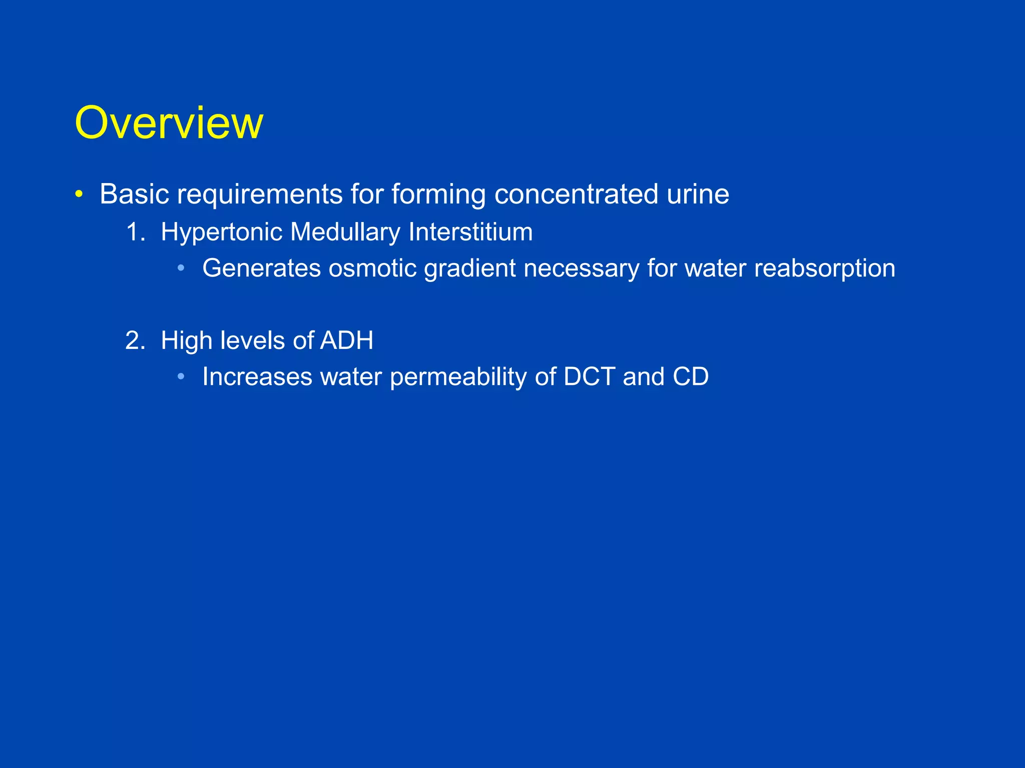 Overview
• Basic requirements for forming concentrated urine
1. Hypertonic Medullary Interstitium
• Generates osmotic gradient necessary for water reabsorption
2. High levels of ADH
• Increases water permeability of DCT and CD

Textbook of Medical
Physiology, Guyton and Hall, 10th

 