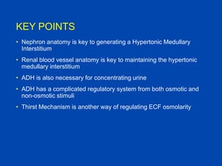 Renal handling of water | PPTX