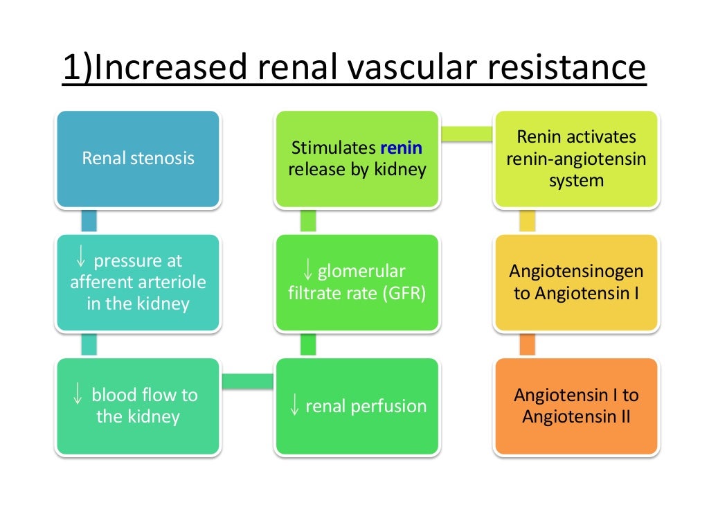 Renal Hypertension