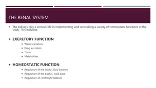THE RENAL SYSTEM
 The kidneys play a central role in implementing and controlling a variety of homeostatic functions of the
body. This includes:
 EXCRETORY FUNCTION
 Waste excretion
 Drug excretion
 Toxin
 Metabolites
 HOMEOSTATIC FUNCTION
 Regulation of the body’s fluid balance
 Regulation of the body’s Acid-Base
 Regulation of electrolyte balance
 