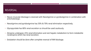 REVERSAL
• Neuro-muscular blockage is reversed with Neostigmine or pyridostgmine in combination with
anticholenergic.
• Neostigmine and pyridostgmine has 50% & 70% renal elimination respectively.
• Glycopyrolate has 80% renal excretion so should be used cautiously.
• Atropine undergoes 25% renal elimination and rest hepatic metabolism to form metabolite
noratropine which has renal excretion.
• Extubation should be done after complete reversal of NM blockage.
 