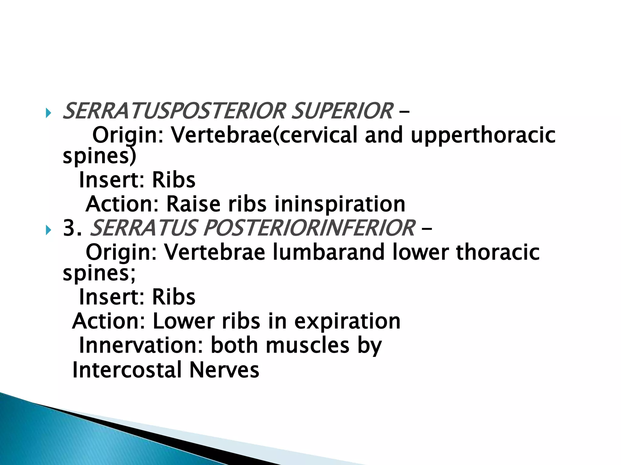 Renal incision | PPTX