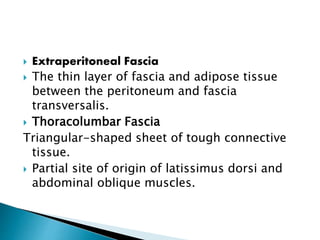 Renal incision | PPTX