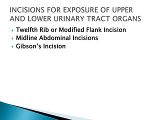 Flank Inscison Renal incision | PPTX