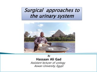 By
Hassaan Ali Gad
Assistant lecturer of urology
Aswan University, Egypt
Surgical approaches to
the urinary system
 