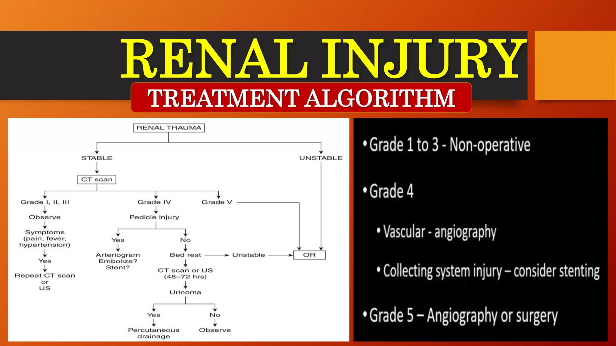 RENAL INJURY-ABDOMINAL TRAUMA.pptx