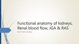 Functional anatomy of kidneys,
Renal blood flow, JGA & RAS
By Dr A Amar Sandeep
 