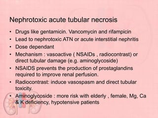 Nephrotoxic acute tubular necrosis
• Drugs like gentamicin. Vancomycin and rifampicin
• Lead to nephrotoxic ATN or acute interstitial nephritis
• Dose dependant
• Mechanism : vasoactive ( NSAIDs , radiocontrast) or
direct tubular damage (e.g. aminoglycoside)
• NSAIDS prevents the production of prostaglandins
required to improve renal perfusion.
• Radiocontrast: induce vasospasm and direct tubular
toxicity.
• Aminoglycoside : more risk with elderly , female, Mg, Ca
& K deficiency, hypotensive patients
 