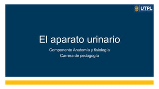 Componente Anatomía y fisiología
Carrera de pedagogía
El aparato urinario
 