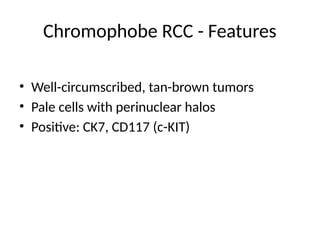 Renal_Malignant_Tumors_Pathology_PPT.pptx