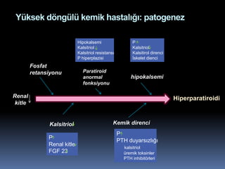 Yüksek döngülü kemik hastalığı: patogenez

                            Hipokalsemi                   P
                            Kalsitriol                    Kalsitriol
                            Kalsitriol resistansı         Kalsitirol direnci
                            P hiperplazisi                İskelet dienci
        Fosfat
        retansiyonu            Paratiroid
                               anormal                   hipokalsemi
                               fonksiyonu

Renal                                                                          Hiperparatiroidi
kitle


              Kalsitriol                        Kemik direnci
                                                    P
              P
                                                    PTH duyarsızlığı
              Renal kitle
                                                      kalsitriol
              FGF 23                                  üremik toksinler
                                                      PTH inhibitörleri
 