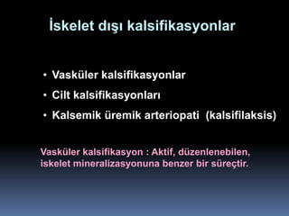 İskelet dışı kalsifikasyonlar


• Vasküler kalsifikasyonlar
• Cilt kalsifikasyonları
• Kalsemik üremik arteriopati (kalsifilaksis)


Vasküler kalsifikasyon : Aktif, düzenlenebilen,
iskelet mineralizasyonuna benzer bir süreçtir.
 