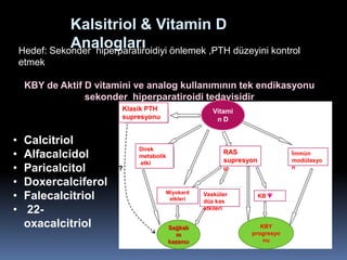 Kalsitriol & Vitamin D
               Analogları
    Hedef: Sekonder hiperparatiroidiyi önlemek ,PTH düzeyini kontrol
    etmek

     KBY de Aktif D vitamini ve analog kullanımının tek endikasyonu
                  sekonder hiperparatiroidi tedavisidir
                           Klasik PTH                   Vitami
                           supresyonu                    nD


•    Calcitriol
                               Direk
•    Alfacalcidol              metabolik
                                                           RAS
                                                           supresyon
                                                                              İmmün
                                                                              modülasyo
                               etki
•    Paricalcitol                                          u                  n

•    Doxercalciferol
•    Falecalcitriol                     Miyokard
                                         etkleri
                                                     Vasküler
                                                     düz kas
                                                                       KB

•    22-                                             etkileri

     oxacalcitriol                         Sağkalı                   KBY
                                              m                   progresyo
                                           kazancı                    nu
 