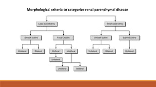 Morphological criteria to categorize renal parenchymal disease
 