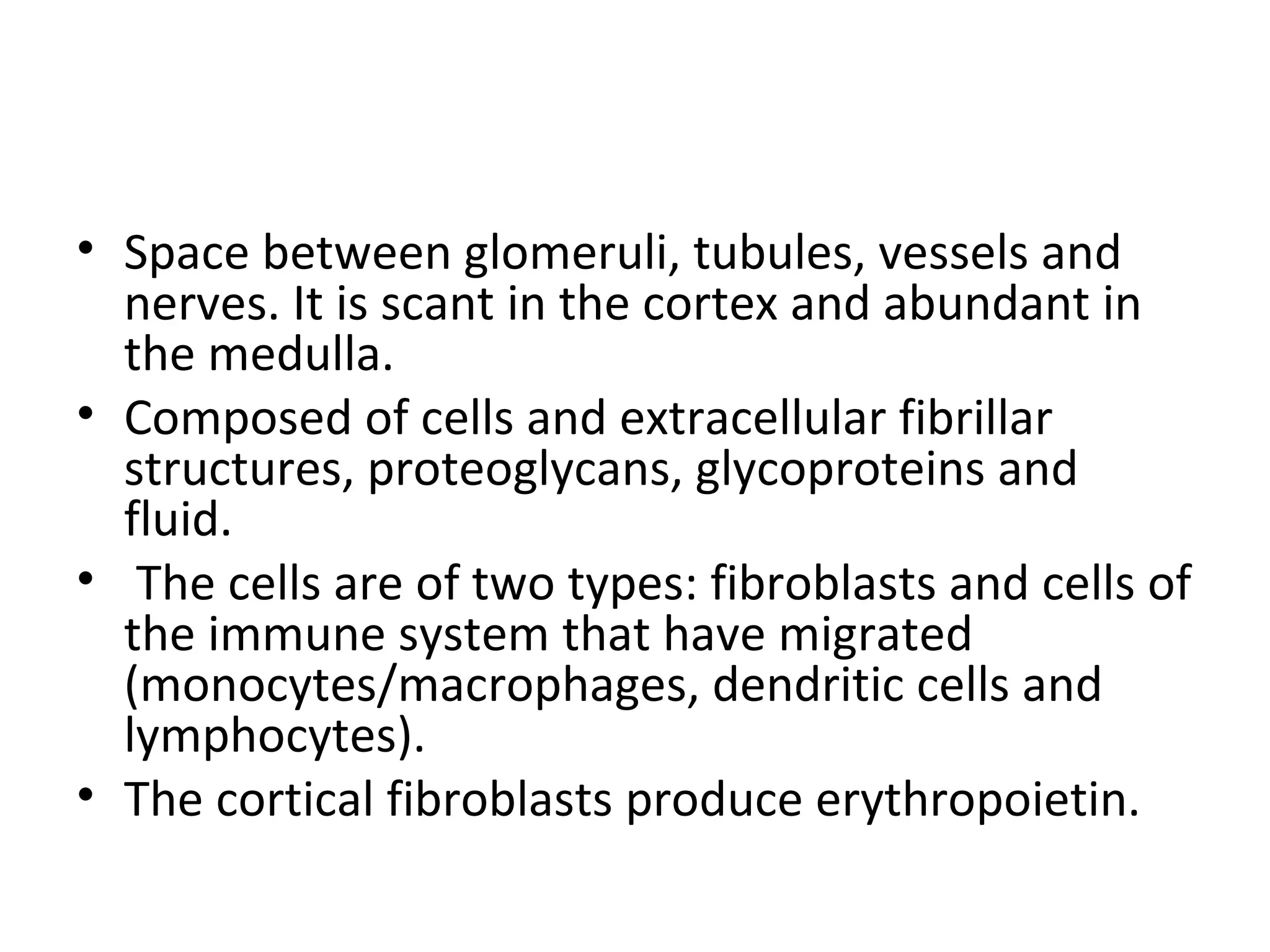 Space between glomeruli, tubules, vessels and nerves. It is scant in the cortex and abundant in the medulla. Composed of cells and extracellular fibrillar structures, proteoglycans, glycoproteins and fluid. The cells are of two types: fibroblasts and cells of the immune system that have migrated (monocytes/macrophages, dendritic cells and lymphocytes).  The cortical fibroblasts produce erythropoietin. 