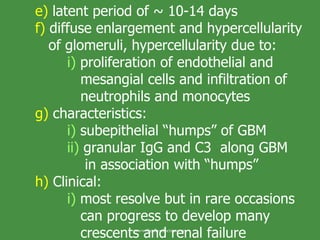 e)  latent period of ~ 10-14 days f)  diffuse enlargement and hypercellularity    of glomeruli, hypercellularity due to:  i)  proliferation of endothelial and    mesangial cells and infiltration of    neutrophils and monocytes g)  characteristics: i)  subepithelial “humps” of GBM ii)  granular IgG and C3  along GBM   in association with “humps” h)  Clinical: i)  most resolve but in rare occasions    can progress to develop many    crescents and renal failure www.freelivedoctor.com 
