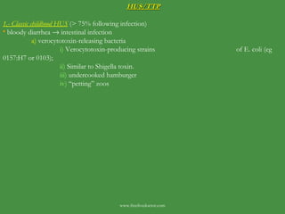 HUS/TTP 1.- Classic childhood HUS  (> 75% following infection) bloody diarrhea    intestinal infection a)  verocytotoxin-releasing bacteria i)  Verocytotoxin-producing strains    of E. coli (eg 0157:H7 or 0103); ii)  Similar to Shigella toxin. iii)  undercooked hamburger iv)  “petting” zoos  www.freelivedoctor.com 