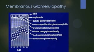 Membranous Glomerulopathy

 