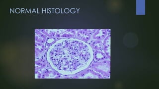 NORMAL HISTOLOGY

 