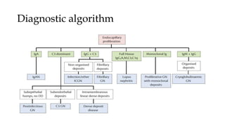 Diagnostic algorithm
 