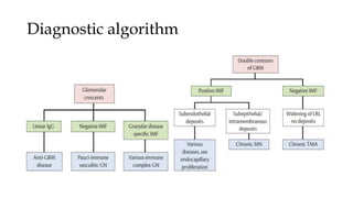 Diagnostic algorithm
 