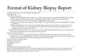 Format of Kidney Biopsy Report
 