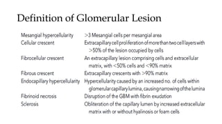 Definition of Glomerular Lesion
 
