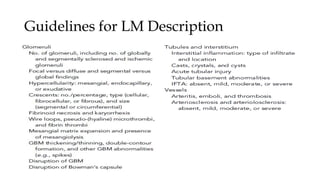 Guidelines for LM Description
 
