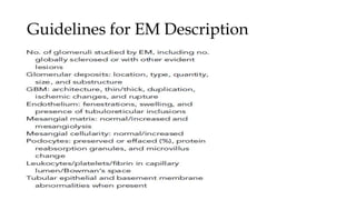 Guidelines for EM Description
 