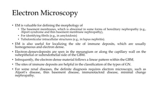 Electron Microscopy
• EM is valuable for defining the morphology of
• The basement membranes, which is abnormal in some forms of hereditary nephropathy (e.g.,
Alport syndrome and thin basement membrane nephropathy),
• For identifying fibrils (e.g., in amyloidosis)
• Tubuloreticular intracellular structures (e.g., in lupus nephritis).
• EM is also useful for localizing the site of immune deposits, which are usually
homogeneous and electron dense.
• Electron-densevdeposits are seen in the mesangium or along the capillary wall on the
subepithelial or subendothelial side of the GBM.
• Infrequently, the electron-dense material follows a linear pattern within the GBM.
• The sites of immune deposits are helpful in the classification of the types of GN.
• For some renal diseases, the definite diagnosis requires electron microscopy, such as
Alport’s disease, thin basement disease, immunotactoid disease, minimal change
nephropathy.
 