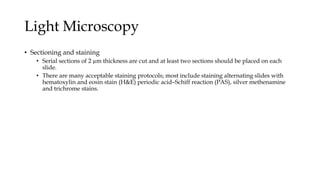 Light Microscopy
• Sectioning and staining
• Serial sections of 2 µm thickness are cut and at least two sections should be placed on each
slide.
• There are many acceptable staining protocols; most include staining alternating slides with
hematoxylin and eosin stain (H&E) periodic acid–Schiff reaction (PAS), silver methenamine
and trichrome stains.
 