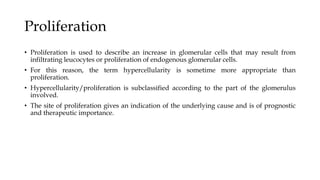 Proliferation
• Proliferation is used to describe an increase in glomerular cells that may result from
infiltrating leucocytes or proliferation of endogenous glomerular cells.
• For this reason, the term hypercellularity is sometime more appropriate than
proliferation.
• Hypercellularity/proliferation is subclassified according to the part of the glomerulus
involved.
• The site of proliferation gives an indication of the underlying cause and is of prognostic
and therapeutic importance.
 