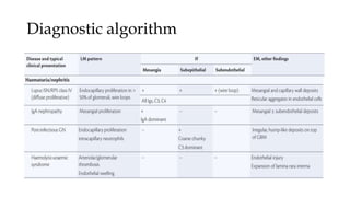 Diagnostic algorithm
 
