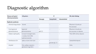 Diagnostic algorithm
 