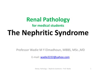 Renal Pathology
for medical students
The Nephritic Syndrome
Professor Wadie M Y Elmadhoun, MBBS, MSc.,MD
E-mail: wadie2222@yahoo.com
Kidney Pathology – Nephritic Syndrome – Prof. Wadie 1
 
