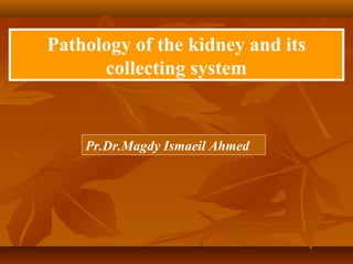 Pathology of the kidney and its
collecting system
Pr.Dr.Magdy Ismaeil Ahmed
 