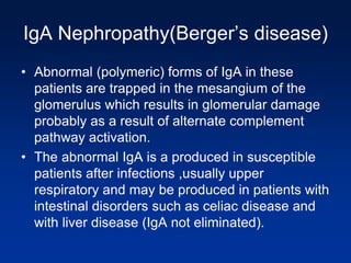 IgA Nephropathy(Berger’s disease)
• Abnormal (polymeric) forms of IgA in these
patients are trapped in the mesangium of the
glomerulus which results in glomerular damage
probably as a result of alternate complement
pathway activation.
• The abnormal IgA is a produced in susceptible
patients after infections ,usually upper
respiratory and may be produced in patients with
intestinal disorders such as celiac disease and
with liver disease (IgA not eliminated).
 