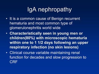 IgA nephropathy
• It is a common cause of Benign recurrent
hematuria and most common type of
glomerulonephritis world wide
• Characteristically seen in young men or
children(80%) with microscopic hematuria
within one to 1 1/2 days following an upper
respiratory infection (no skin lesions)
• Clinical course variable maintaining renal
function for decades and slow progression to
CRF
 