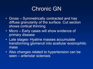 Chronic GN
• Gross – Symmetrically contracted and has
diffuse granularity of the surface. Cut section
shows cortical thinning
• Micro – Early cases will show evidence of
primary disease
• Late stages- Hyaline masses accumulate
transforming glomeruli into acellular eosinophilic
mass
• Also changes related to hypertension can be
seen – arteriolar sclerosis
 