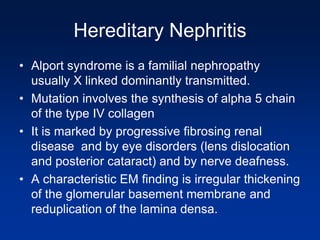 Hereditary Nephritis
• Alport syndrome is a familial nephropathy
usually X linked dominantly transmitted.
• Mutation involves the synthesis of alpha 5 chain
of the type IV collagen
• It is marked by progressive fibrosing renal
disease and by eye disorders (lens dislocation
and posterior cataract) and by nerve deafness.
• A characteristic EM finding is irregular thickening
of the glomerular basement membrane and
reduplication of the lamina densa.
 