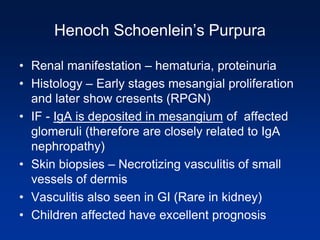 Henoch Schoenlein’s Purpura
• Renal manifestation – hematuria, proteinuria
• Histology – Early stages mesangial proliferation
and later show cresents (RPGN)
• IF - IgA is deposited in mesangium of affected
glomeruli (therefore are closely related to IgA
nephropathy)
• Skin biopsies – Necrotizing vasculitis of small
vessels of dermis
• Vasculitis also seen in GI (Rare in kidney)
• Children affected have excellent prognosis
 