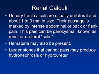 Renal pathology iv | PPT