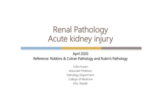 April 2020
Reference: Robbins & Cotran Pathology and Rubin’s Pathology
Sufia Husain
Associate Professor
Pathology Department
College of Medicine
KSU, Riyadh
Renal Pathology
Acute kidney injury
 