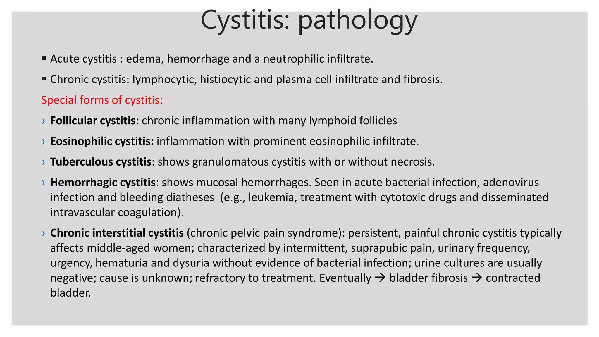 Renal pathology lecture 2&3. Infection of upper and lower urinary tract ...