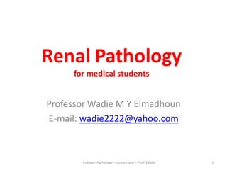 Renal Pathology
for medical students
Professor Wadie M Y Elmadhoun
E-mail: wadie2222@yahoo.com
Kidney – Pathology – Lecture one – Prof. Wadie 1
 