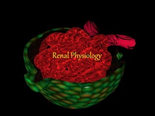 Renal Physiology
 