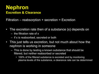 Nephron
Excretion & Clearance
Filtration – reabsorption + secretion = Excretion
• The excretion rate then of a substance (x) depends on
– the filtration rate of x
– if x is reabsorbed, secreted or both
• This just tells us excretion, but not much about how the
nephron is working in someone
– This is done by testing a known substance that should be
filtered, but neither reabsorbed or secreted
• 100% of the filtered substance is excreted and by monitoring
plasma levels of the substance, a clearance rate can be determined
 