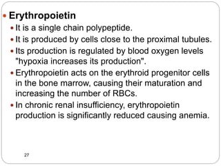  Erythropoietin
 It is a single chain polypeptide.
 It is produced by cells close to the proximal tubules.
 Its production is regulated by blood oxygen levels
"hypoxia increases its production".
 Erythropoietin acts on the erythroid progenitor cells
in the bone marrow, causing their maturation and
increasing the number of RBCs.
 In chronic renal insufficiency, erythropoietin
production is significantly reduced causing anemia.
27
 